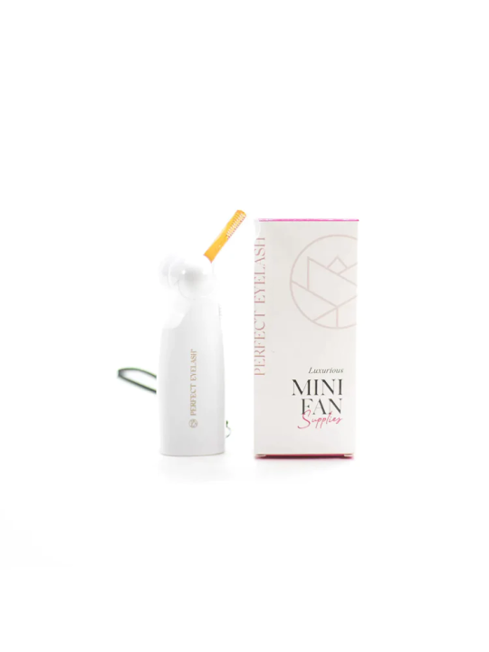 Mini Fan Hand Blower