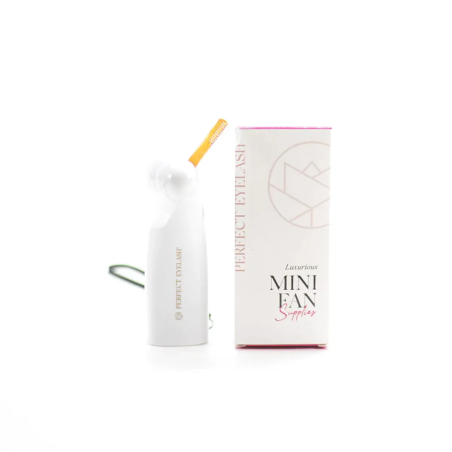 Mini Fan Hand Blower