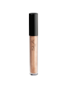 FRUITY GLOSS N° 43 "camel doré transparent"