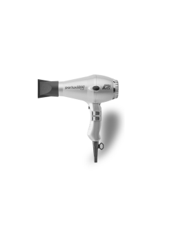 Secador de Mão Parlux 3200 Plus Prata