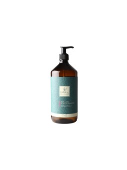 Shampoo Emmebi Natural Solution Antiqueda 1000 ml