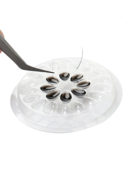 Disposable Glue Pallet (5pcs)